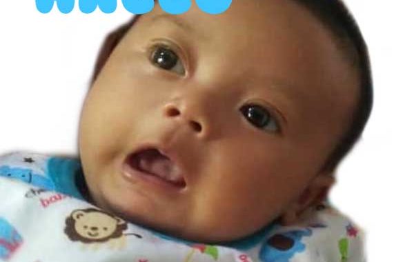 tutorial buat stiker wa lucu