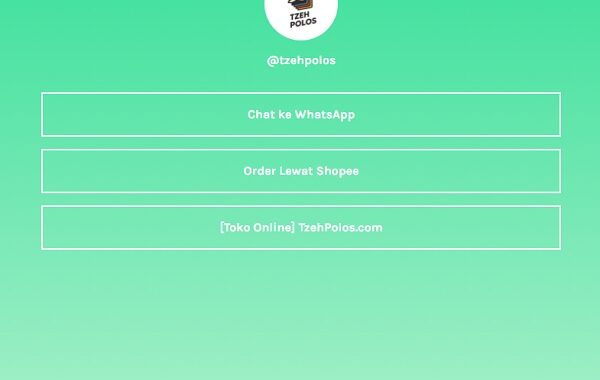 Lebih dari 2 link di Bio Instagram dengan LinkTree