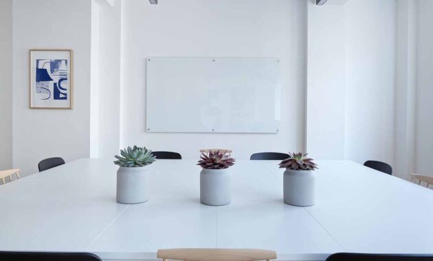 Cara Merawat Tanaman agar Tidak Mudah Mati