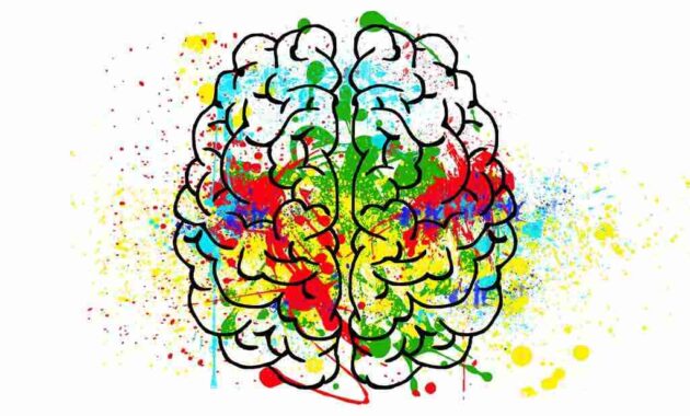 Tes Intelegensi CFIT